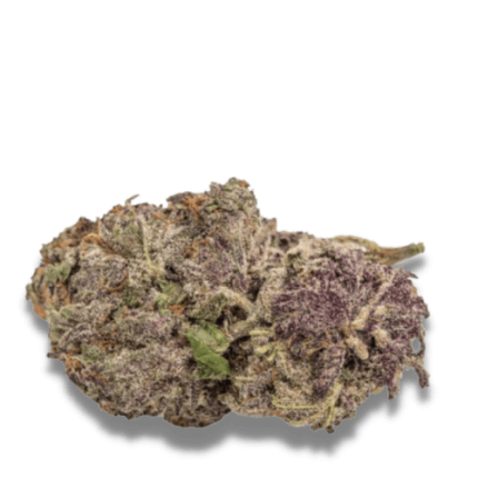 Ultra Violet GMO - Growers choice