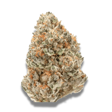 Watermelon Weddingcake - Growers choice