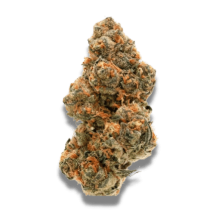 Weddingcake x Frosty Gelato - Growers choice