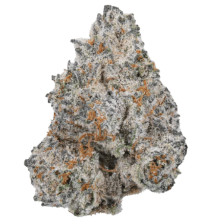 White Truffle Limited Edition - Growers choice