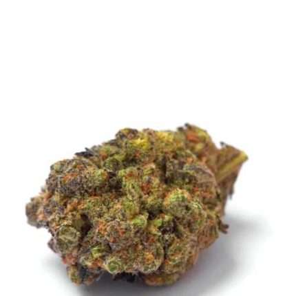 Wifi Punch - Growers choice