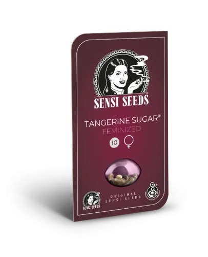 Tangerine Sugar – Sensi seeds - immagine 2