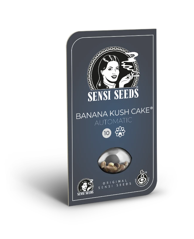 Banana Kush Cake Auto – Sensi seeds - immagine 2