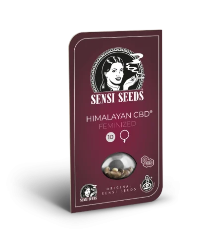 Himalayan CBD – Sensi seeds - immagine 2