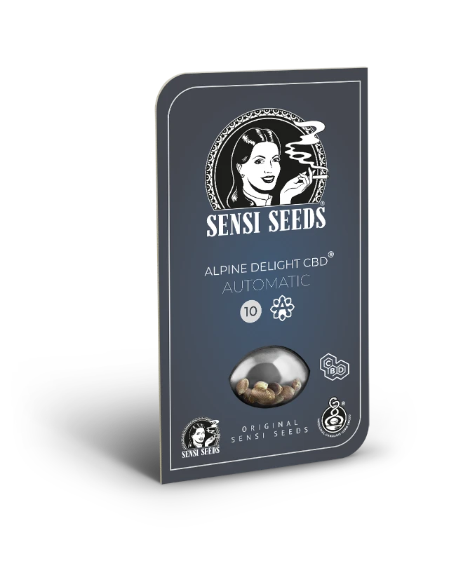 Alpine Delight CBD Auto – Sensi seeds - immagine 2