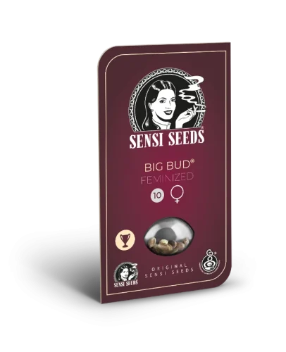 Big Bud – Sensi seeds - immagine 2