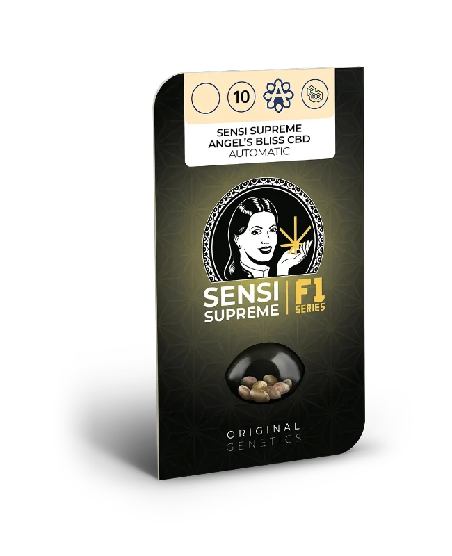 Angel’s Bliss CBD Auto F1 – Sensi supreme - immagine 2