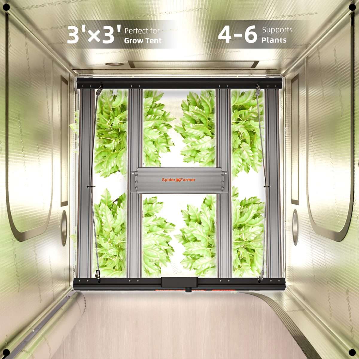 90x90x180cm G 3000 300w Grow Kit – Spider farmer - immagine 8