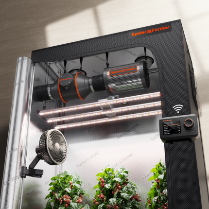 140x70x200cm G4500 320W ( con controller smart) Grow Kit  - Spider farmer