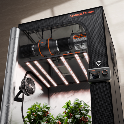 120×120×200 cm G5000 480W ( con controller smart) Grow Kit  - Spider farmer