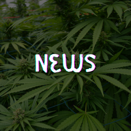 Novità Plantasikula
