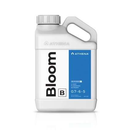 Athena Bloom B Blended Line – 3,79 L