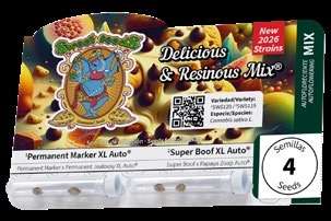 Delicious & Resinous Mix - Sweet Seeds