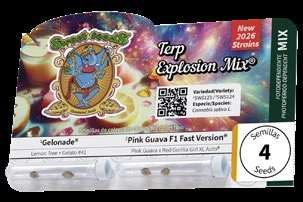 Terp Explosion Mix Sweet Seeds