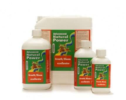 Flacone Natural Power Growth Bloom Excellarator