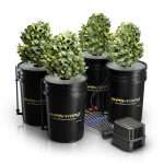Mars Hydro 5-Gallon 4 Buckets DWC (Deep Water Culture) Hydroponic System Kit