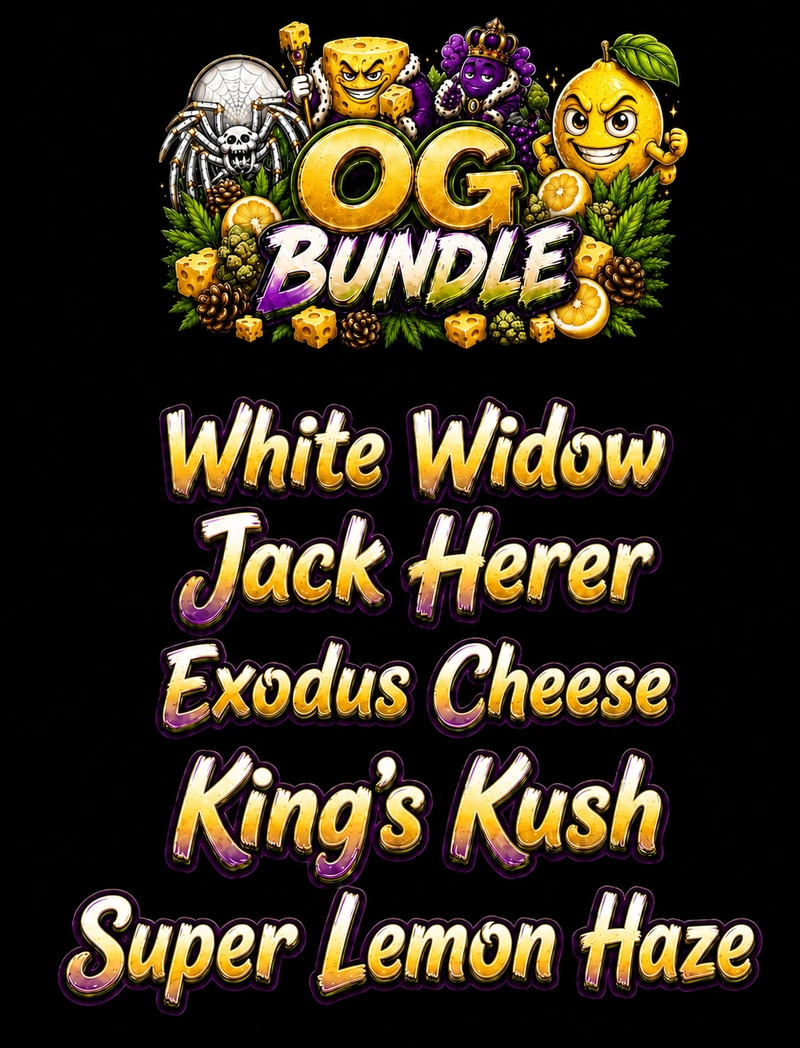 OG Bundle - Green House Seeds - immagine 2