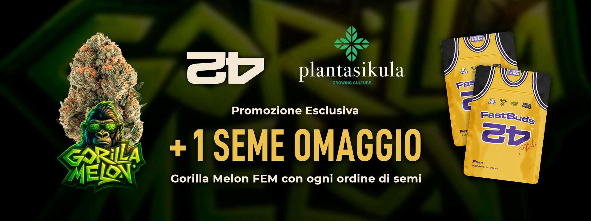Plantasikula × FastBuds: un seme Gorilla Melon FEM in omaggio con ogni ordine di semi